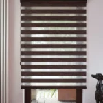 Zebra Blinds