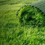 Buy Artificial Grass Online for Stylish Outdoor Spaces
